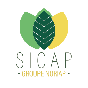 logo sicap