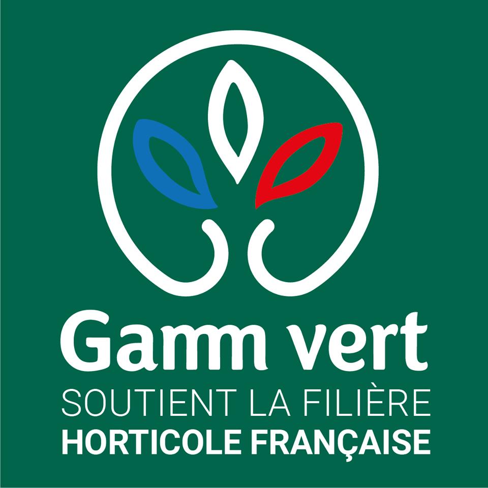 logo gamm vert bleu blanc rouge