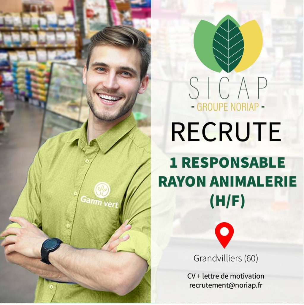 Gamm vert Emploi Responsable Rayon Animalerie