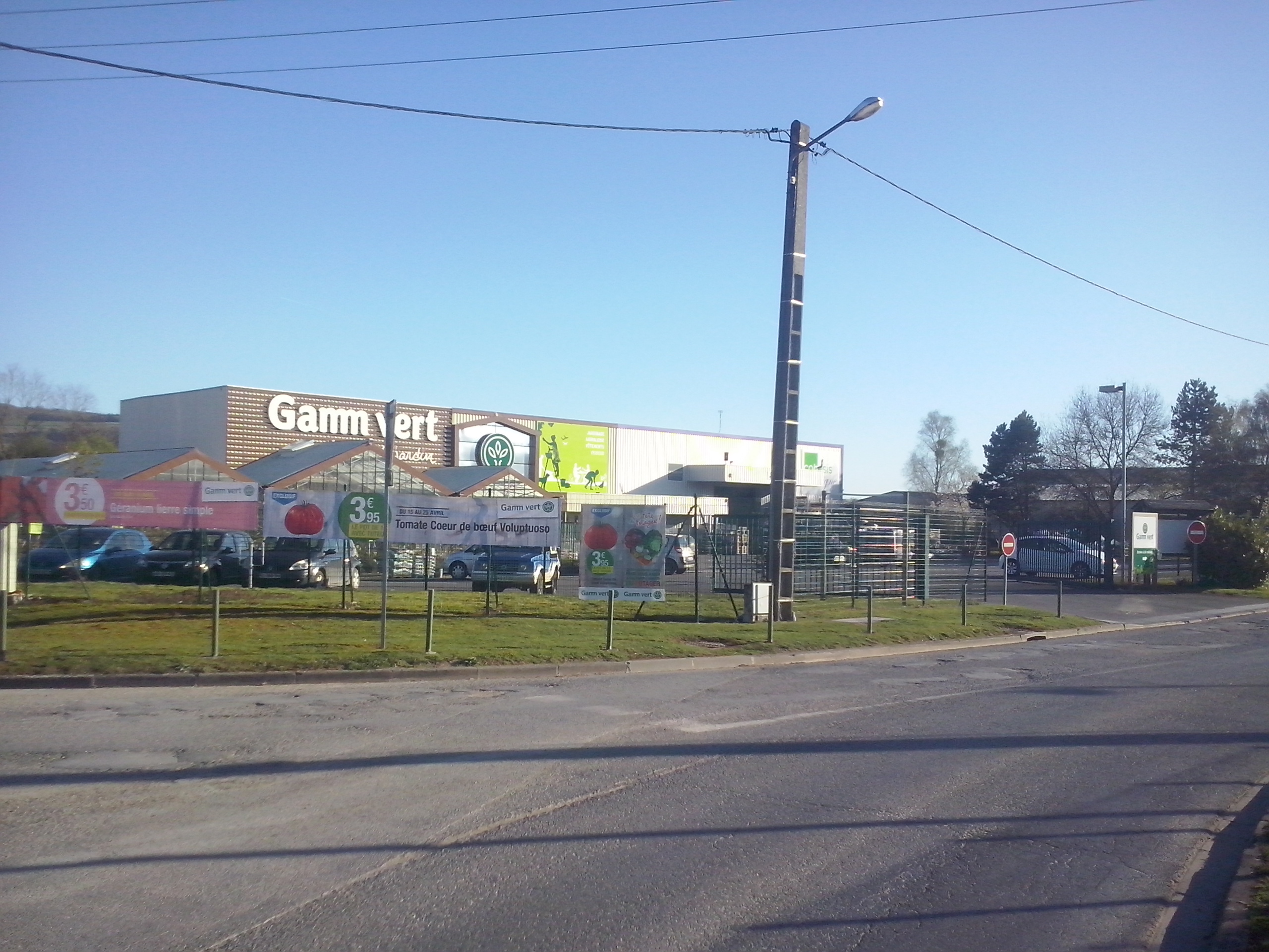 Dormans sicap